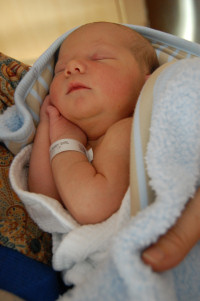 Willa Wren Kaser